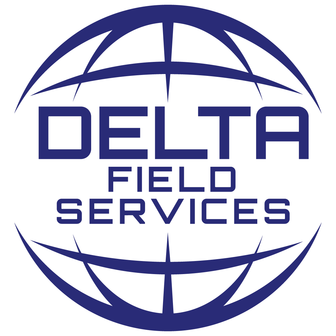 Delta Field Services, LLC logo