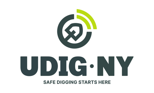 UDig NY logo